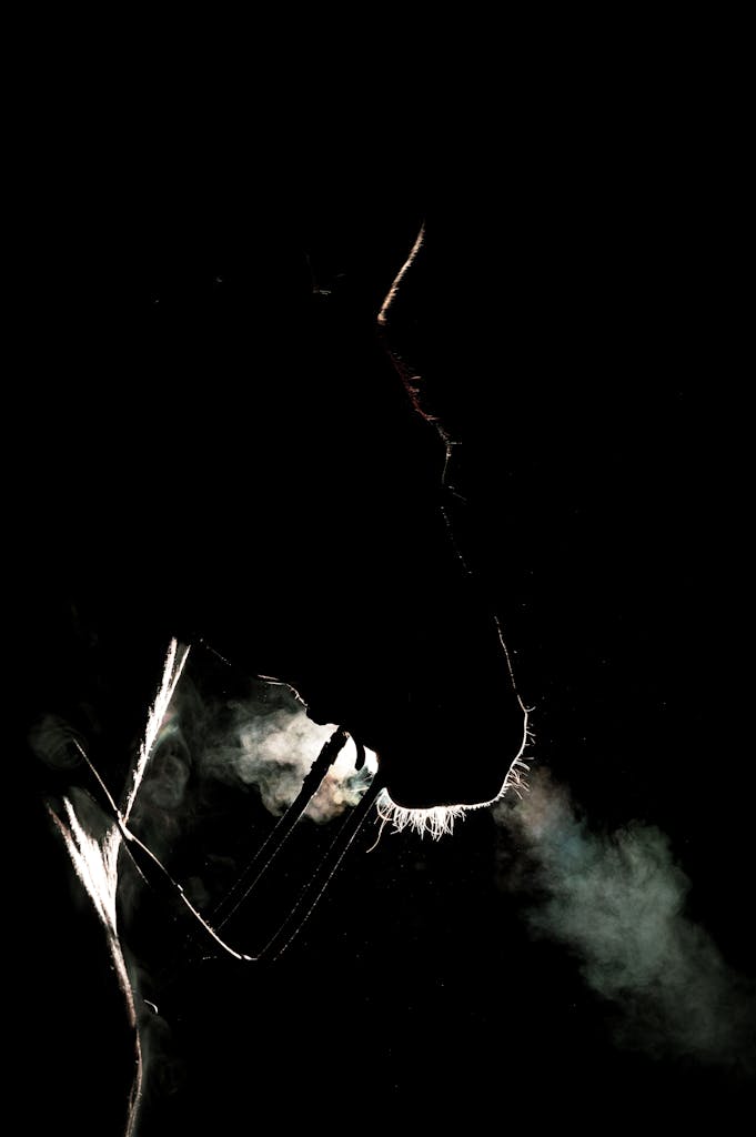 Artistic silhouette of a horse exhaling in a dark setting, highlighting breath.