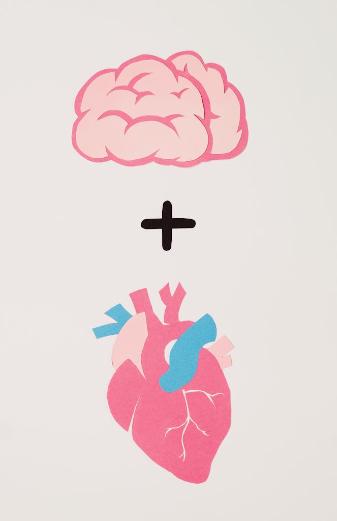 Paper Cutout of a Brain Plus Heart