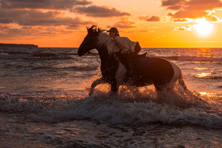 Silhouetted rider on horseback galloping through ocean waves at sunset.