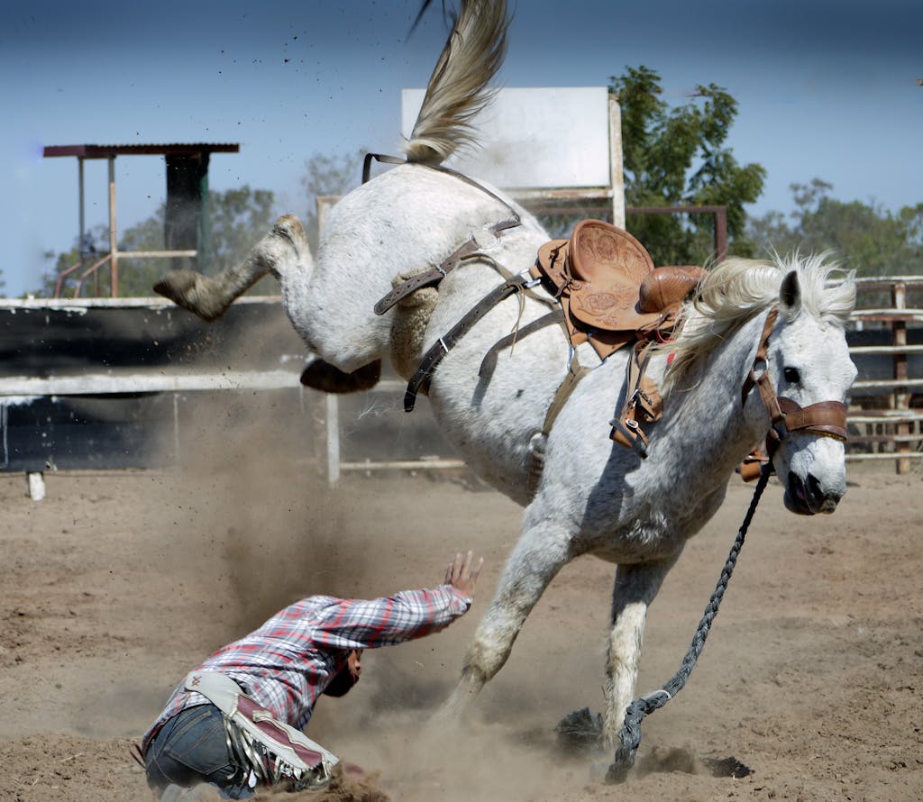 White Horse Kicking While Man on Ground